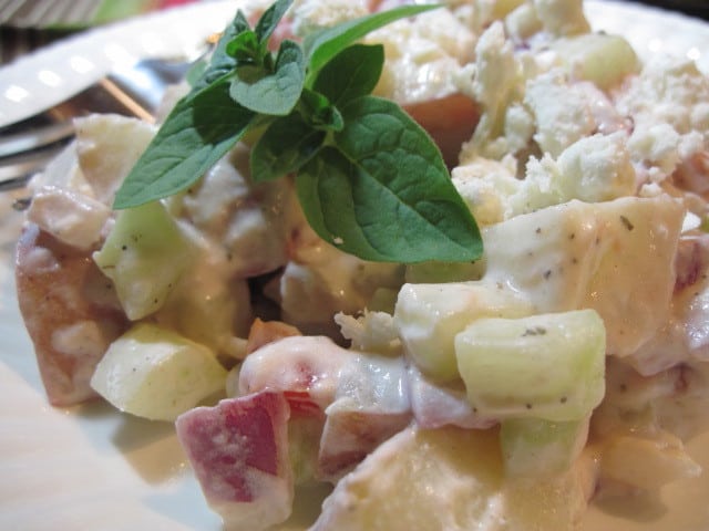 Tzatziki Potato Salad Recipe with mint.