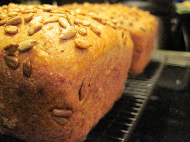 Toasted Sunflower Whole Wheat Bread Recipe