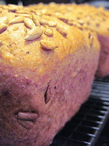 A closeup photo of two loaves of Whole Wheat Sunflower Bread