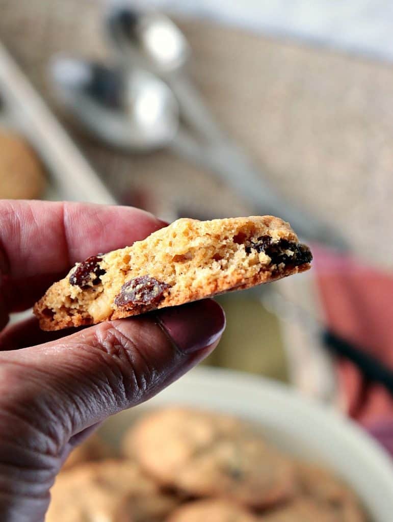 A closeup photo of a hand holding a vintage rocks cookie with raisins.