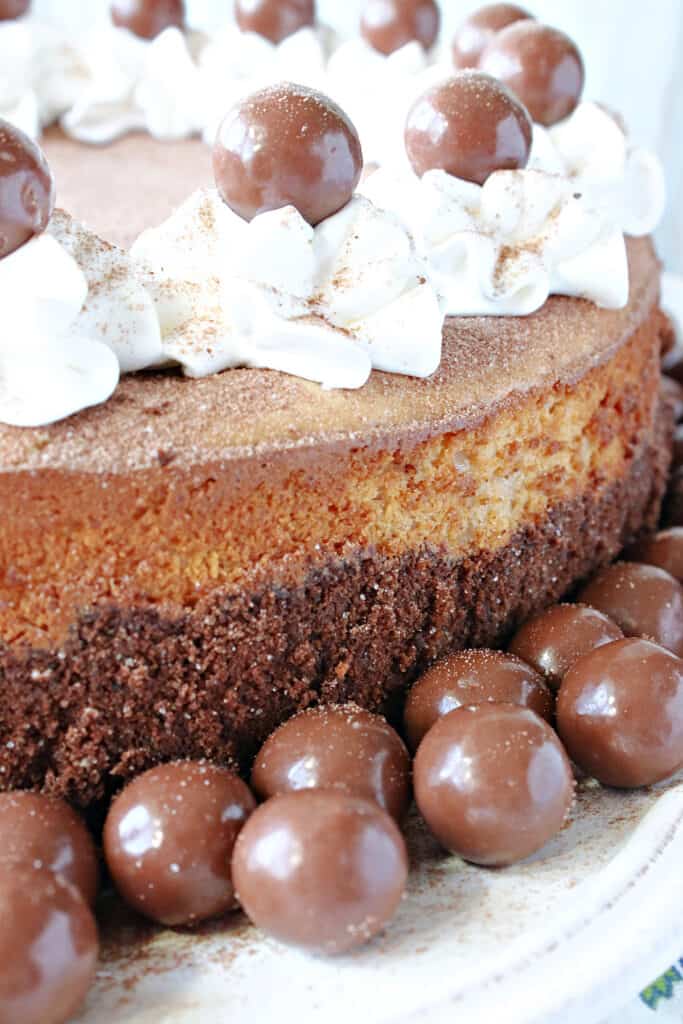 A closeup vertical photo of the side of a Malted Milk Ball Cheesecake along with whipped cream garnish and malted milk balls.