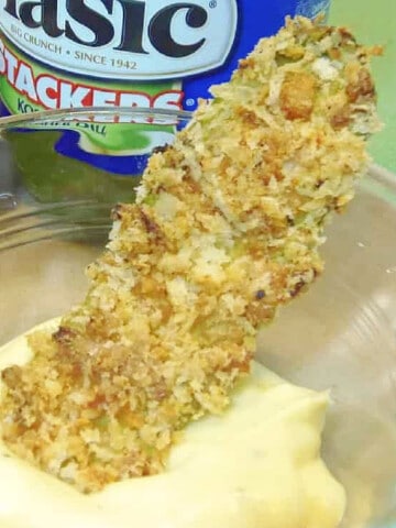 A long Baked Fried Pickle in a small dish with dipping sauce.