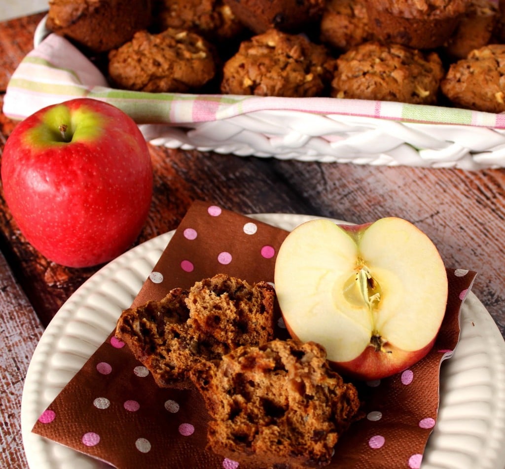 Applesauce Cinnamon Chip Muffin Recipe