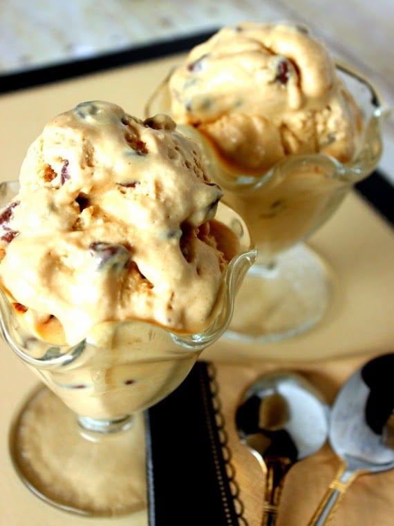 Peanut Butter Chocolate Chip Ice Cream Recipe