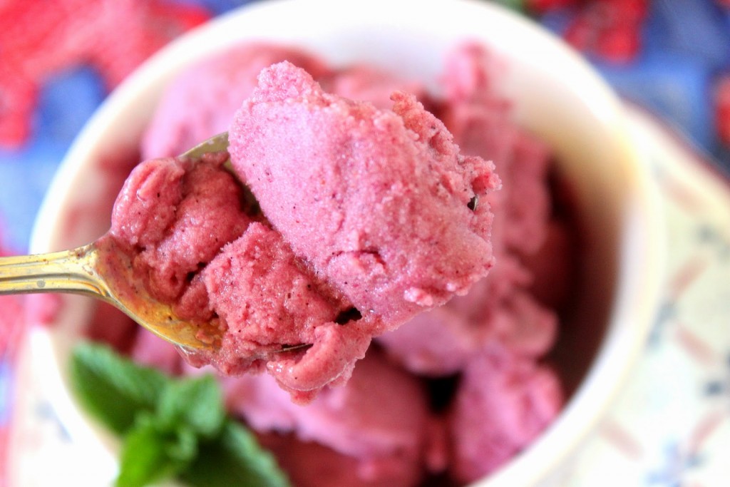 Berry Delicious Frozen Greek Yogurt - kudoskitchenbyrenee.com