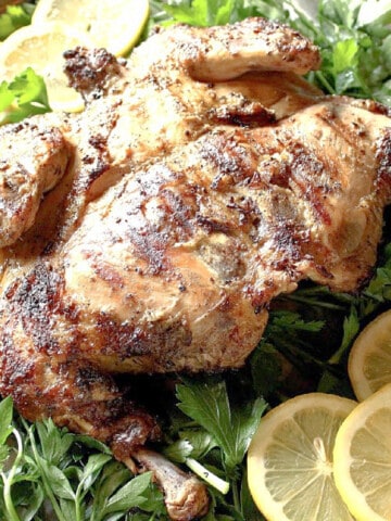 A Lemon Oregano Spatchcock Chicken on a bed of parsley along with lemon slices.