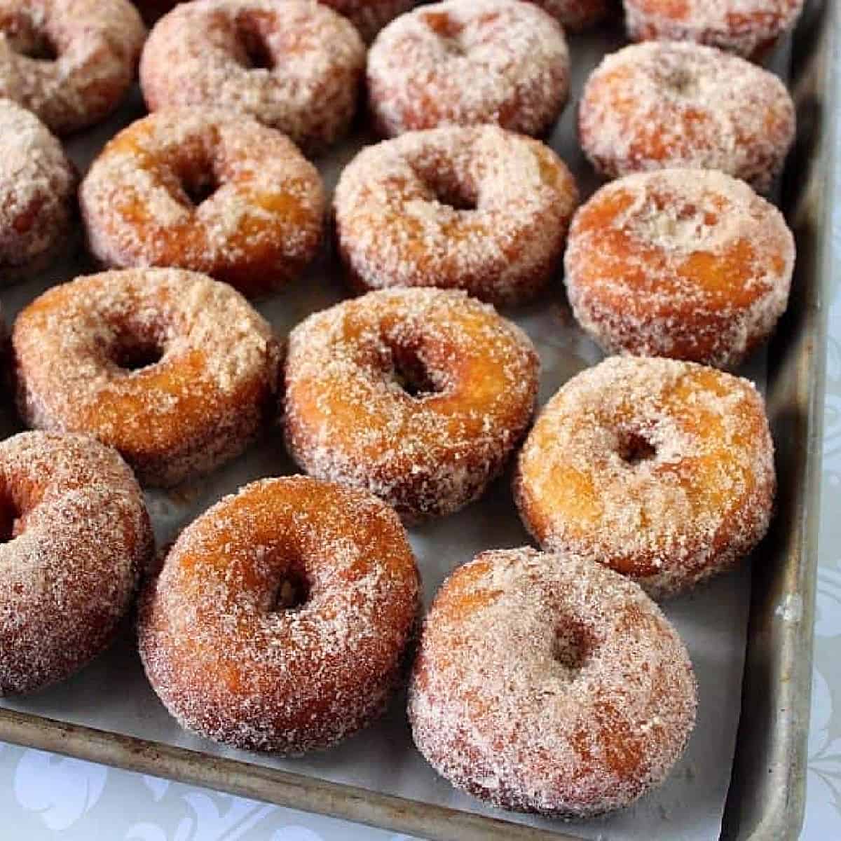 https://www.kudoskitchenbyrenee.com/wp-content/uploads/2014/09/mashed-sweet-potato-donuts-1200-SQUARE.jpg