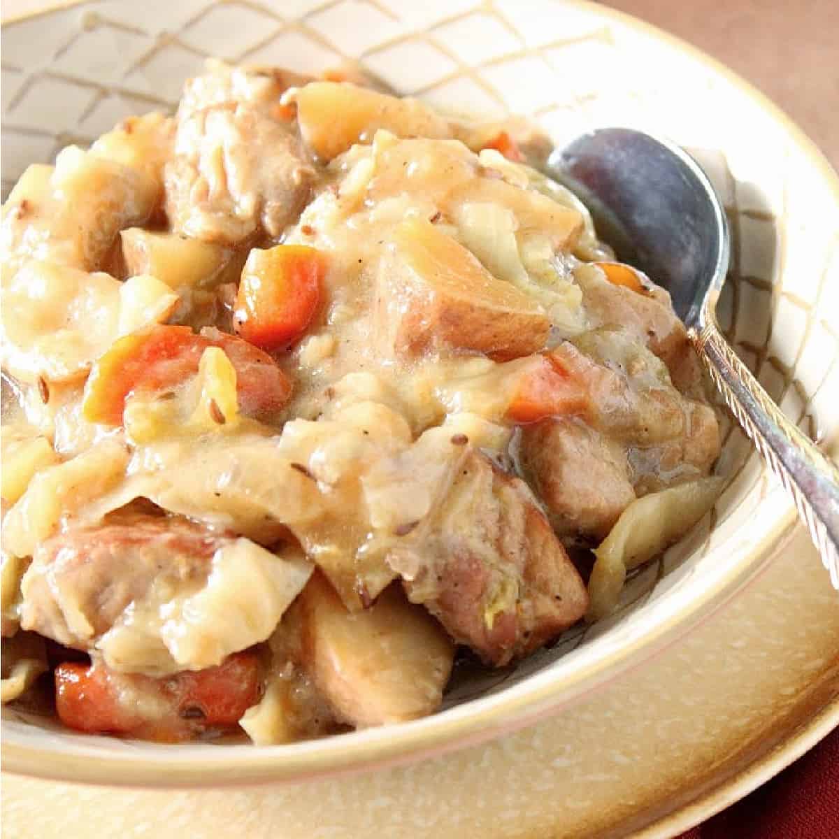 Slow Cooker Pork and Cabbage Stew Recipe Kudos Kitchen by Renee