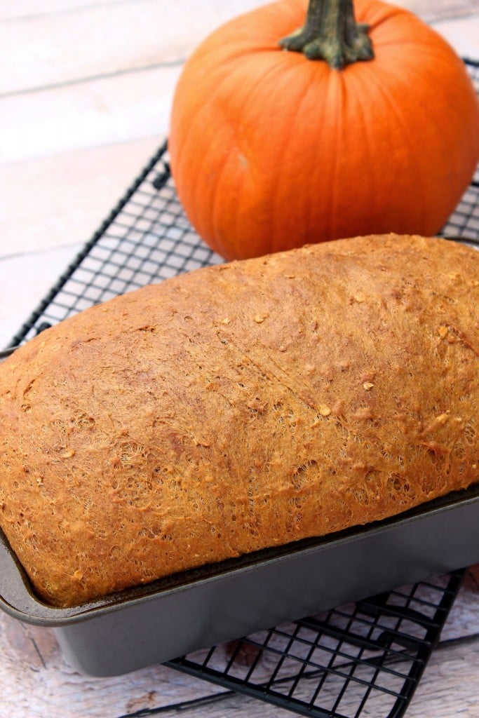 A loaf of ginger pumpkin spice bread on a cooling rack with a pumpkin in the background.