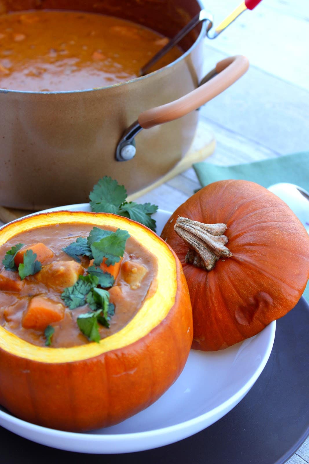 Chicken, Peanut Butter and Pumpkin Stew Kudos Kitchen by Renee