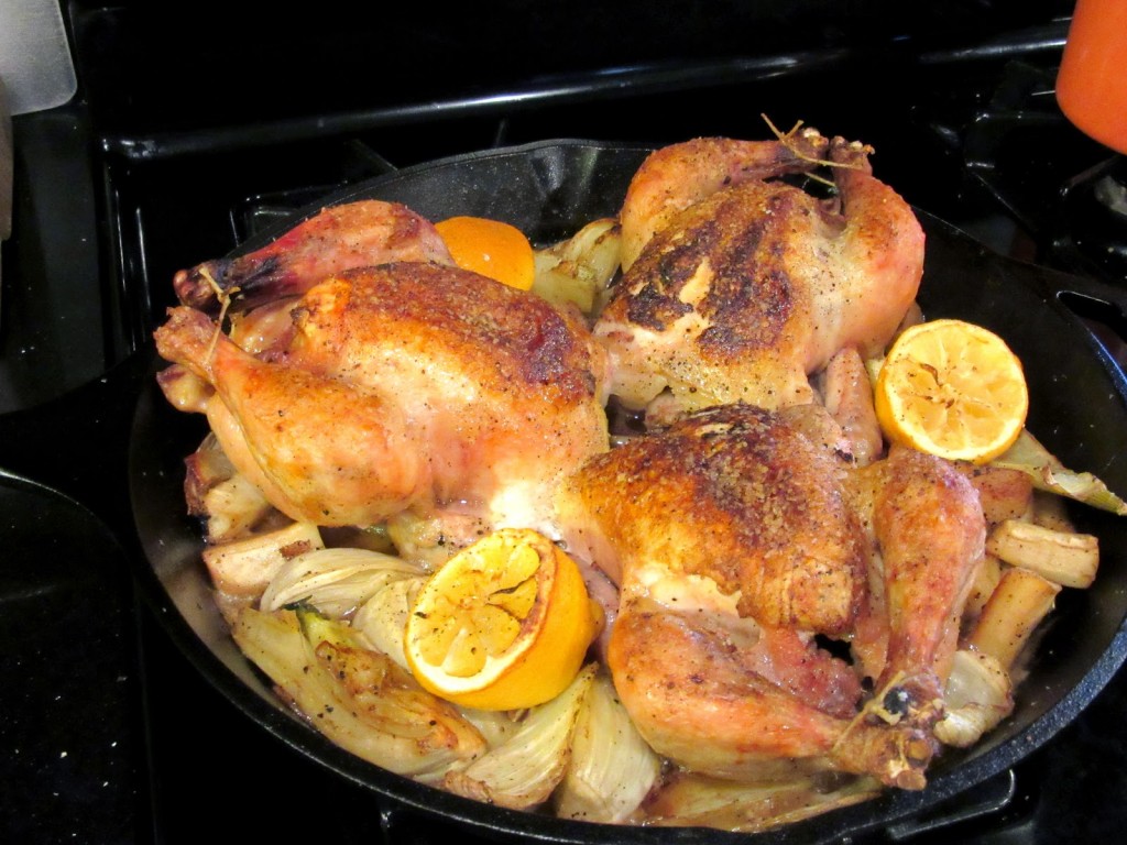 Skillet Roasted Cornish Hens with Parsnips Fennel