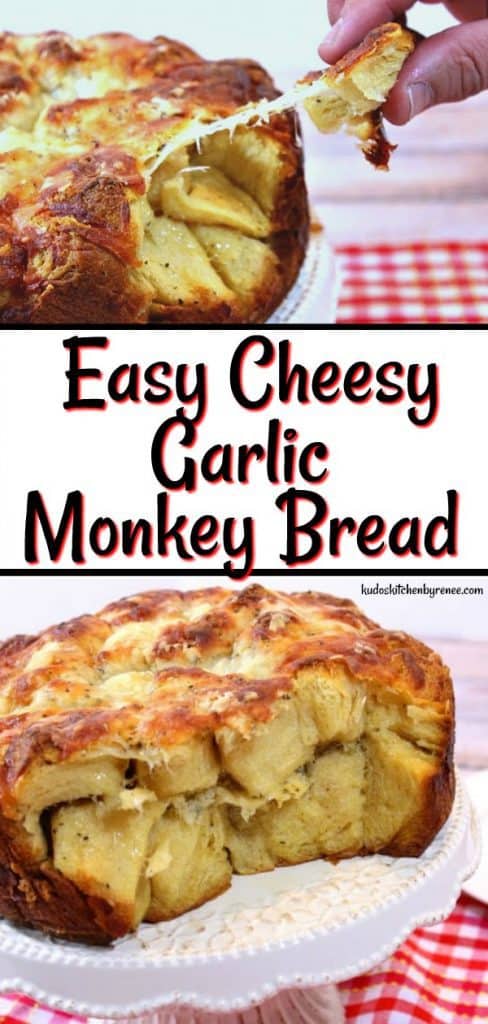 This Incredibly Easy & Cheesy Garlic Pull Apart Bread bakes in a springform pan and takes advantage of canned biscuits, making for a very delicious presentation which anyone can make. - kudoskitchenbyrenee.com