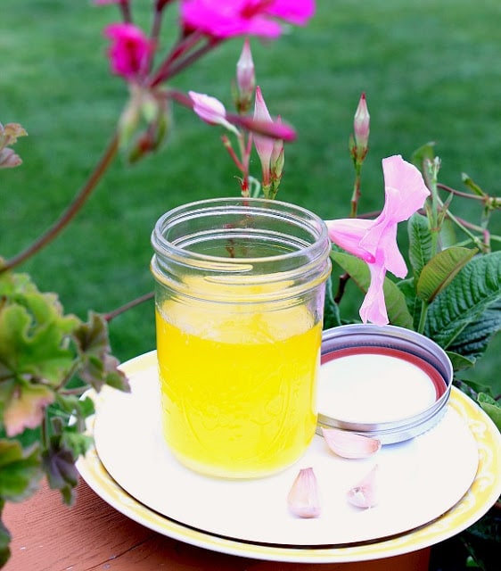 Jar of garlic ghee with pink flowers in the background. 