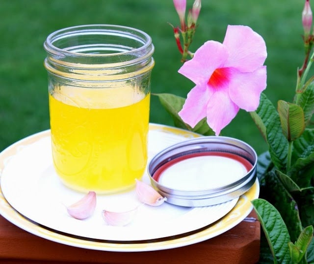 A glass mason jar filled with Homemade Garlic Ghee outside with pink flowers and green grass in the background.