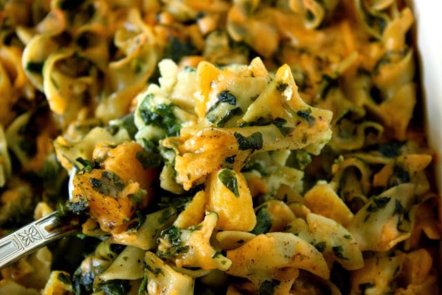 Spinach and Butternut Squash Noodle Casserole