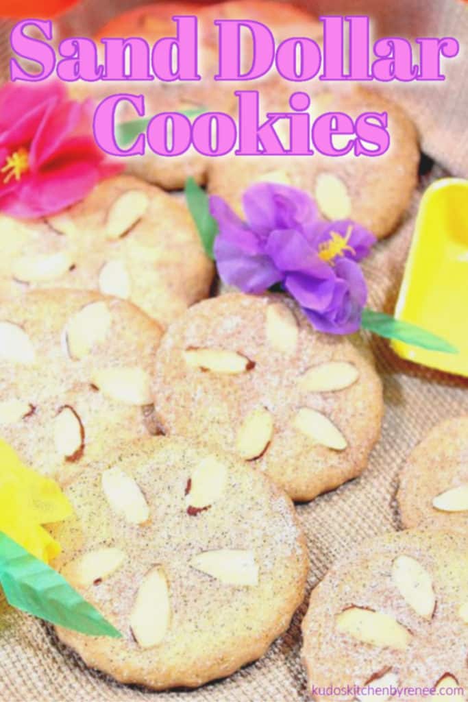 A closeup photo of a pile of sand dollar cookies with colorful flowers and a title text graphic overlay