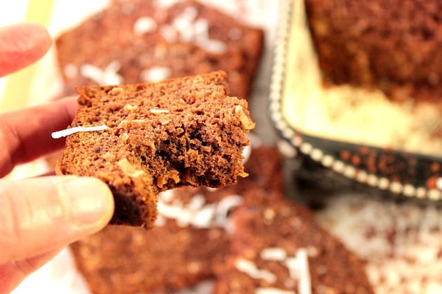 Cocoa Coconut Banana Bread