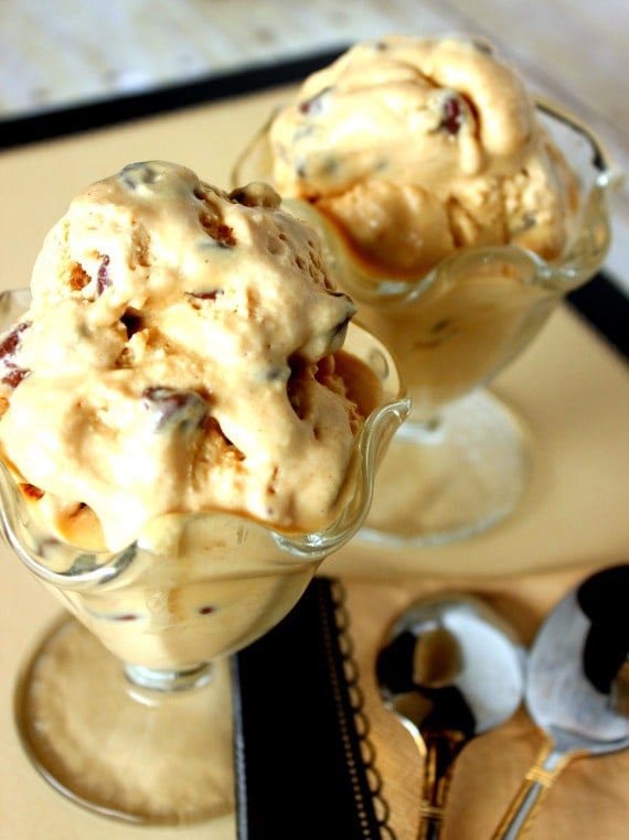 Peanut Butter Chocolate Chip Ice Cream - Kudos Kitchen by Renee