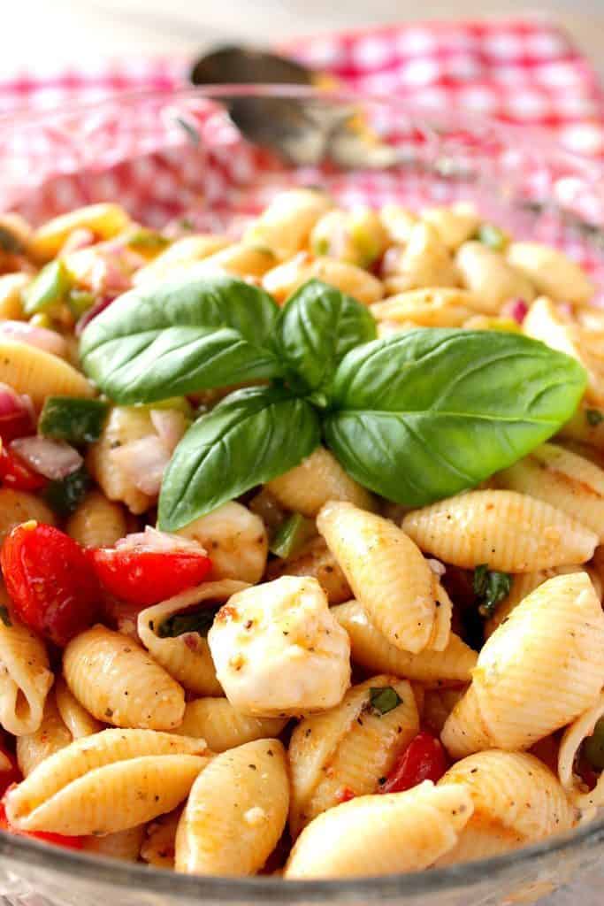 Closeup vertical image of cooked shell pasta with tomatoes and basil. Italian shell pasta salad chilled bbq side dish recipe.