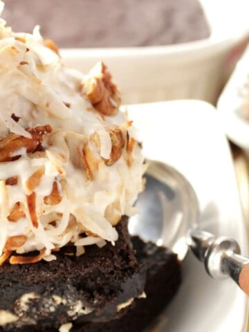 No Churn Toasted Coconut Ice Cream