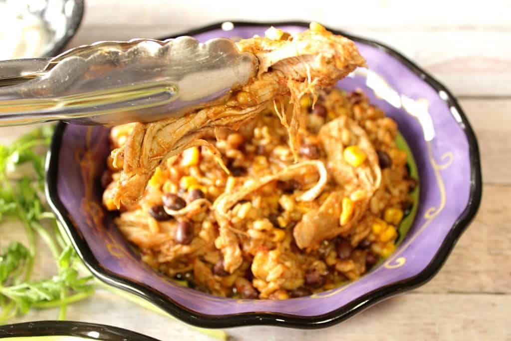 A closeup photo of a large piece of shredded pork from slow cooker pulled pork tacos recipe held by a pair of tongs.