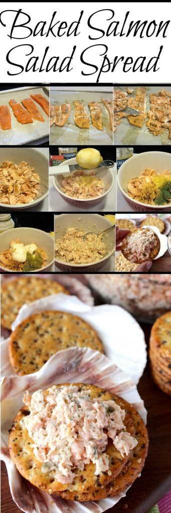 A long collage image for Pinterest with salmon salad.