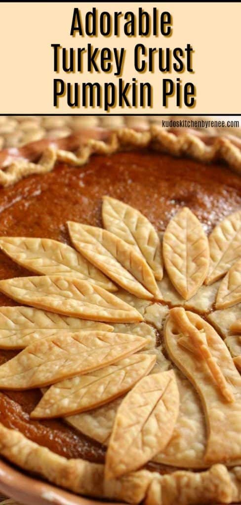 Vertical title text image of a closeup photo of a pumpkin pie with a turkey crust.