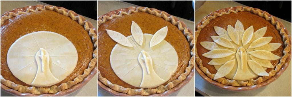 How to make a turkey crust pumpkin pie photo tutorial.