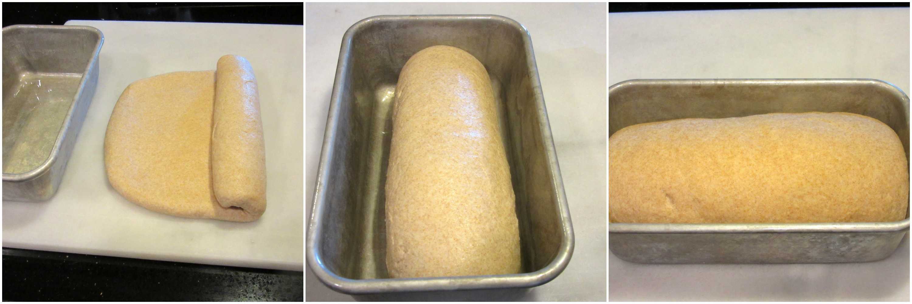 Whole Wheat Honey Ricotta Bread Recipe Kudos Kitchen by Renee