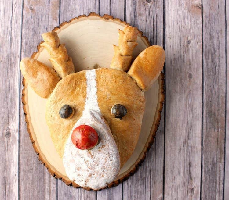 whole wheat rudolph bread nosed reindeer shaped bread