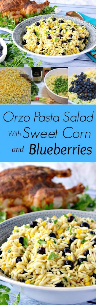Surprise Chilled Orzo Pasta Salad with Sweet Corn & Blueberries may be a little unexpected, but after your first bite, you'll keep coming back for more! | Kudos Kitchen by Renee Orzo Pasta Salad With Sweet Corn and Blueberries