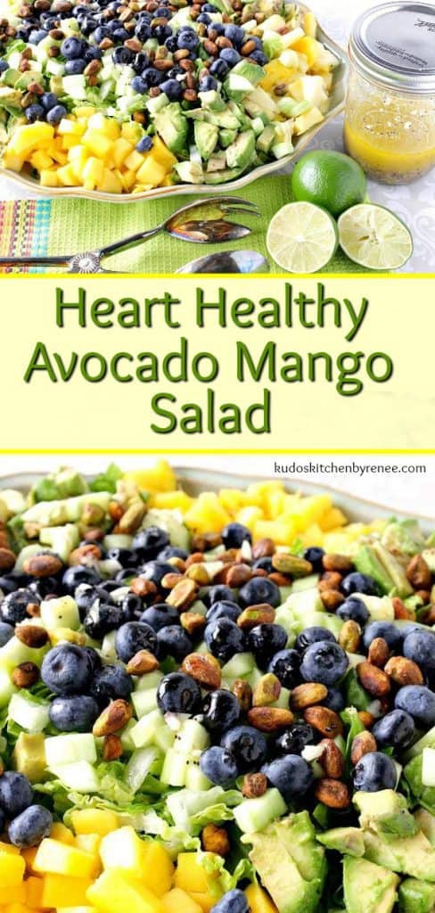 Heart Healthy Avocado Mango Salad With Lime Poppy Seed Vinaigrette is a brightly flavored and satisfying salad. It makes a delicious dinner all by itself, or for some added protein add some cooked chicken breast or turkey. Your call. Your salad. - kudoskitchenbyrenee.com