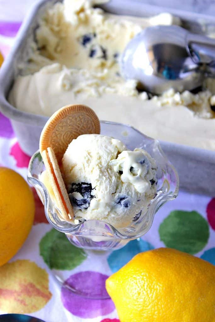 Overhead picture of a dish of lemon ice cream with cookies and a lemon in the foreground.