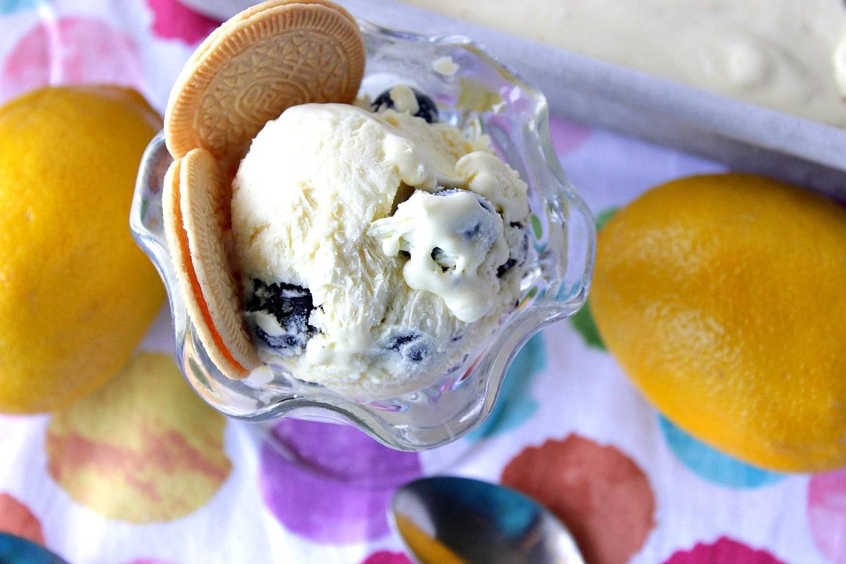 NoChurn Lemon Blueberry Ice Cream with Malibu Rum Recipe