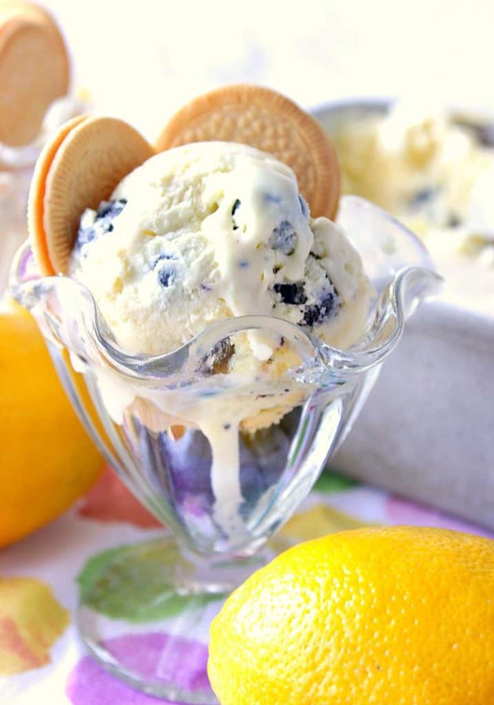 Closeup photo of a dish of Lemon No Churn Ice Cream with Blueberries