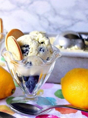 Lemon No Churn Ice Cream with Blueberries and Malibu Rum
