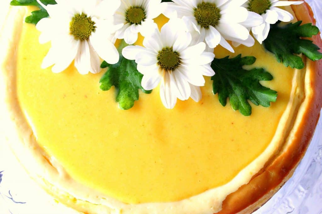 Overhead picture of lemon cheesecake with fresh daisy topping