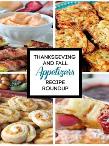 Title text collage images of Thanksgiving appetizer recipe roundup