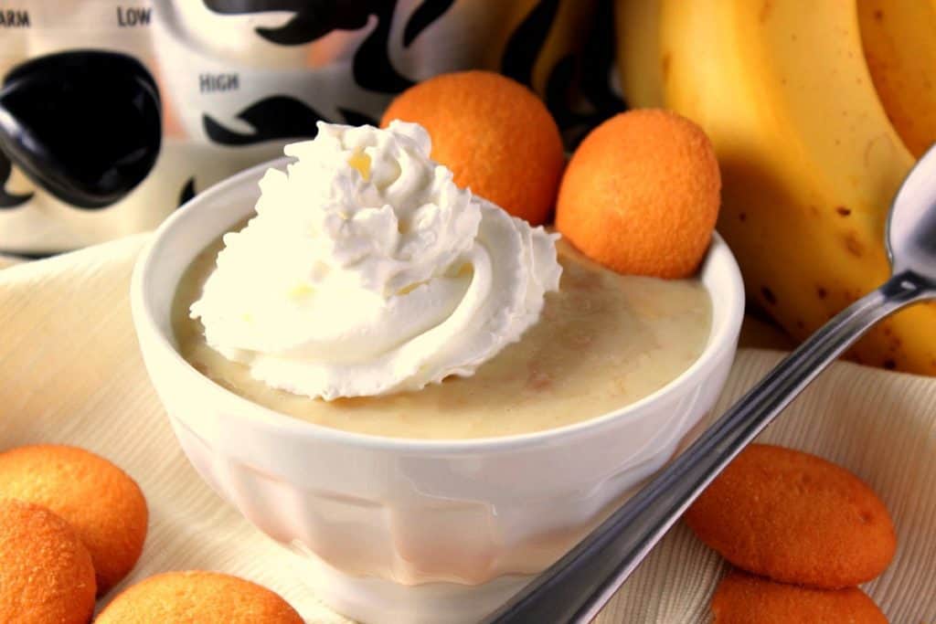 Small white bowl of banana pudding with a dollop of whipped cream on top and vanilla wafer cookies surrounding the bowl and in the pudding.