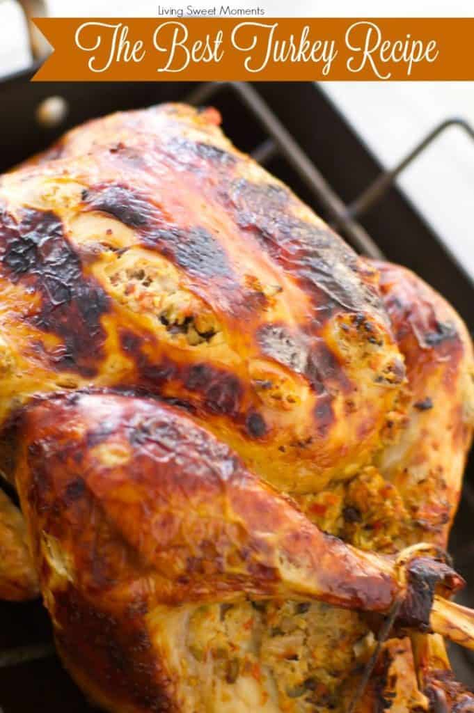 Thanksgiving Turkey Recipe Roundup 