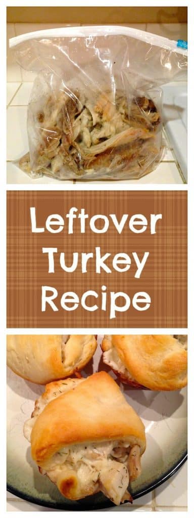 Thanksgiving Leftover Roundup 2017 - Kudos Kitchen by Renee
