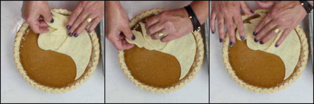 Photo tutorial for making a painting a cornucopia pie for Thanksgiving.