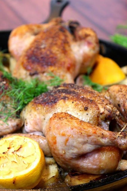 Vertical closeup image of Cornish hens in a skillet with dill and lemon. Valentine's Day Dinner Recipe Roundup.