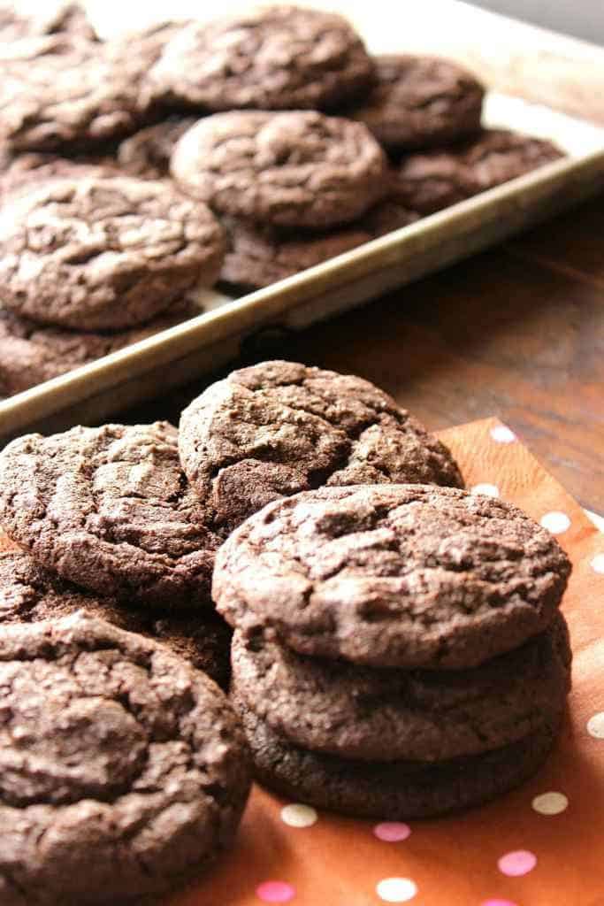 Closeup of chocolate cookies on a plate for chocolate dessert recipes collection 