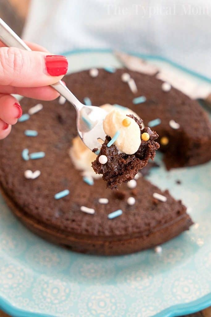 Closeup photo of a spoonful of chocolate pudding cake. Chocolate dessert recipe collection for Valentine's Day