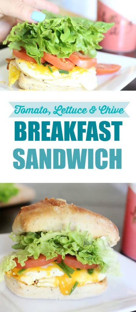 Sandwich Recipe Roundup 2018 for Friday's Featured Foodie Feastings - www.kudoskitchenbyrenee.com