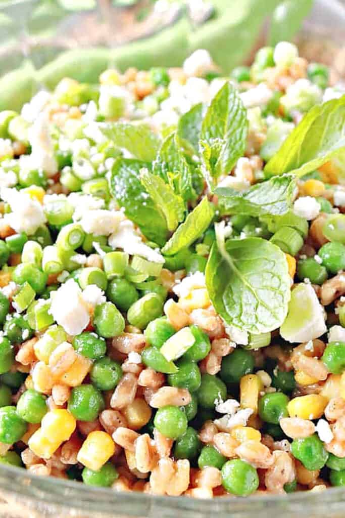 A super closeup vertical photo of a Pea and Farro Salad with corn, feta cheese, and mint.