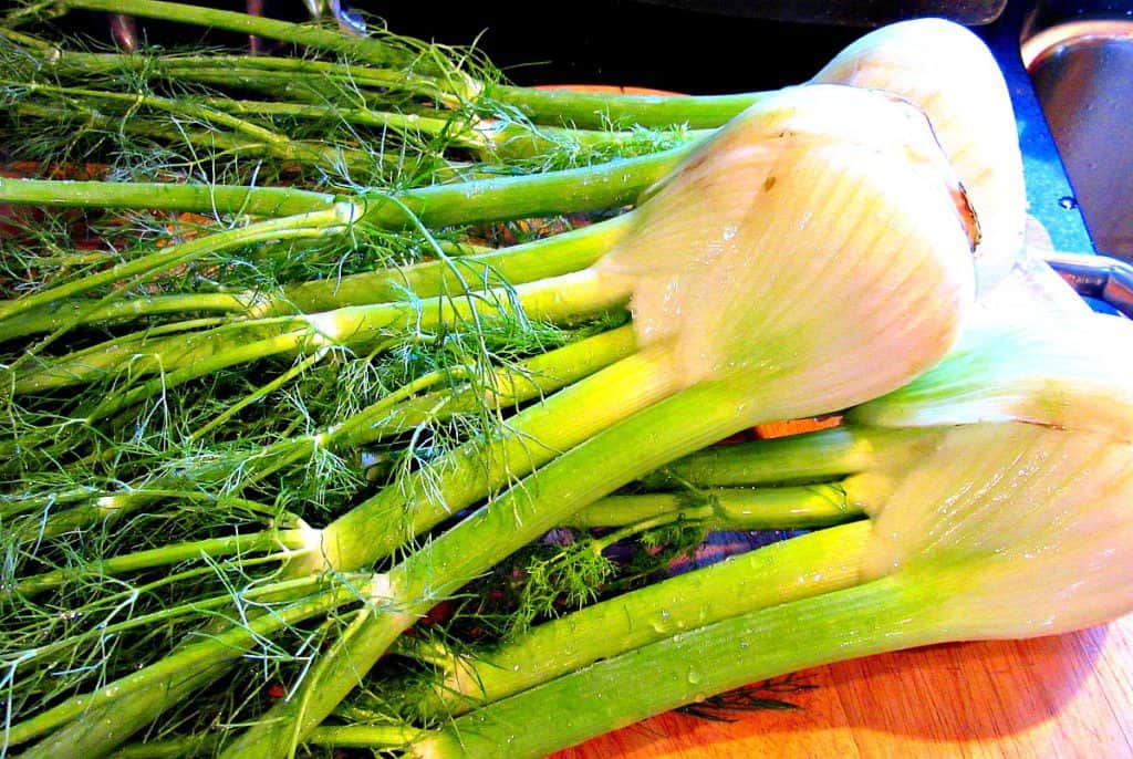 Deliciously Cheesy Baked Fennel Onion Gratin - www.kudoskitchenbyrenee.com