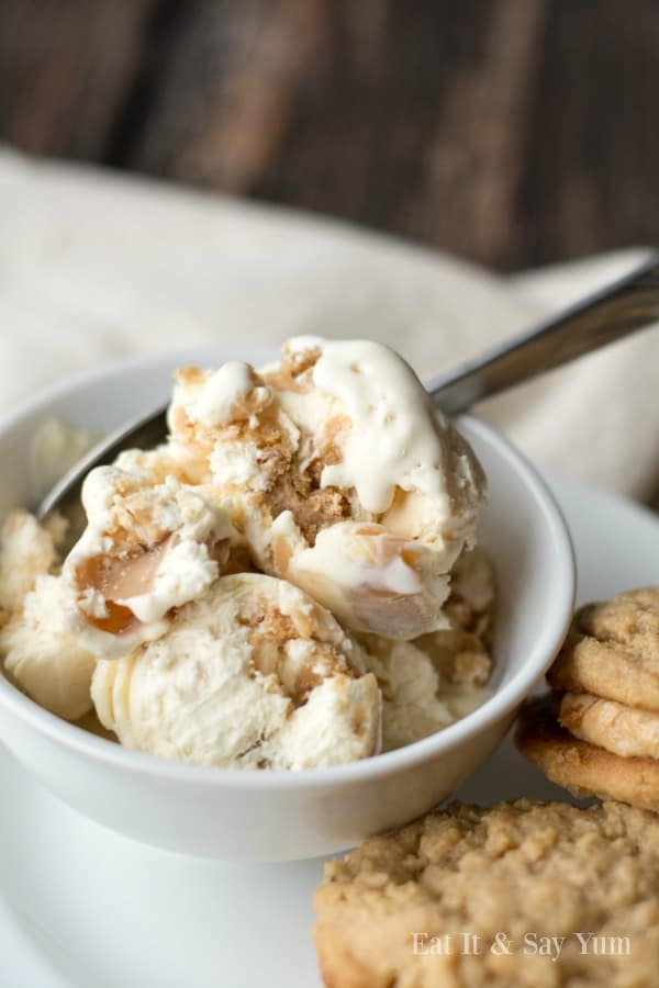 Incredible Ice Cream Recipe Roundup 2018 for Friday's Featured Foodie Feastings - kudoskitchenbyrenee.com