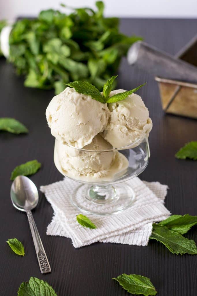 Incredible Ice Cream Recipe Roundup 2018 for Friday's Featured Foodie Feastings - kudoskitchenbyrenee.com